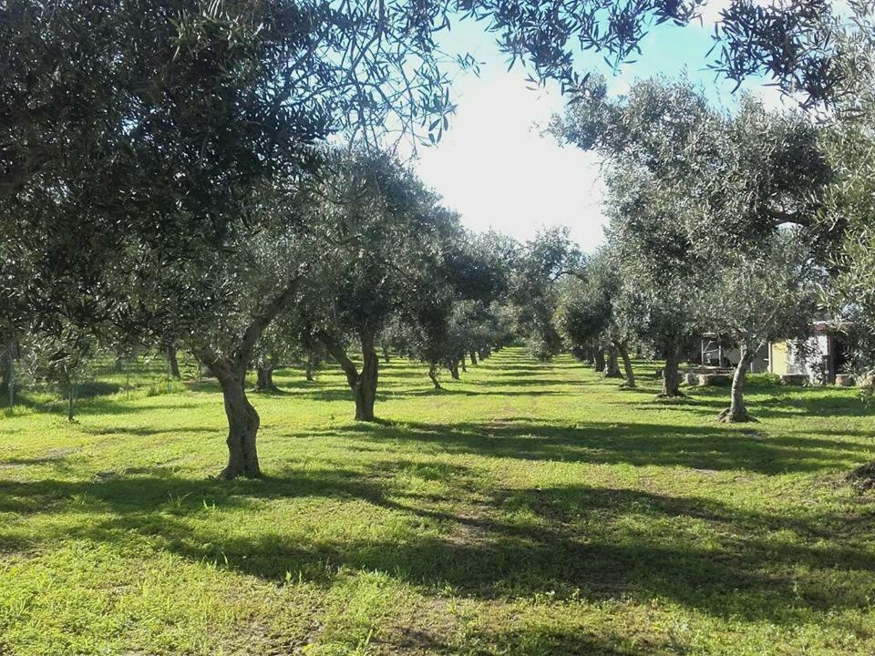 Agriturismo Sa Ruda Càbras Exterior foto