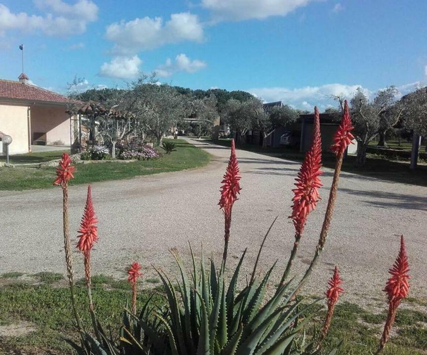 Agriturismo Sa Ruda Càbras Exterior foto